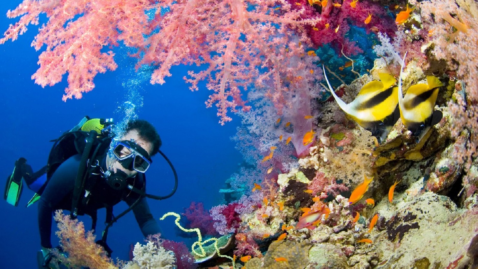OPEN WATER DIVER COURSE (PADI) IN HURGHADA