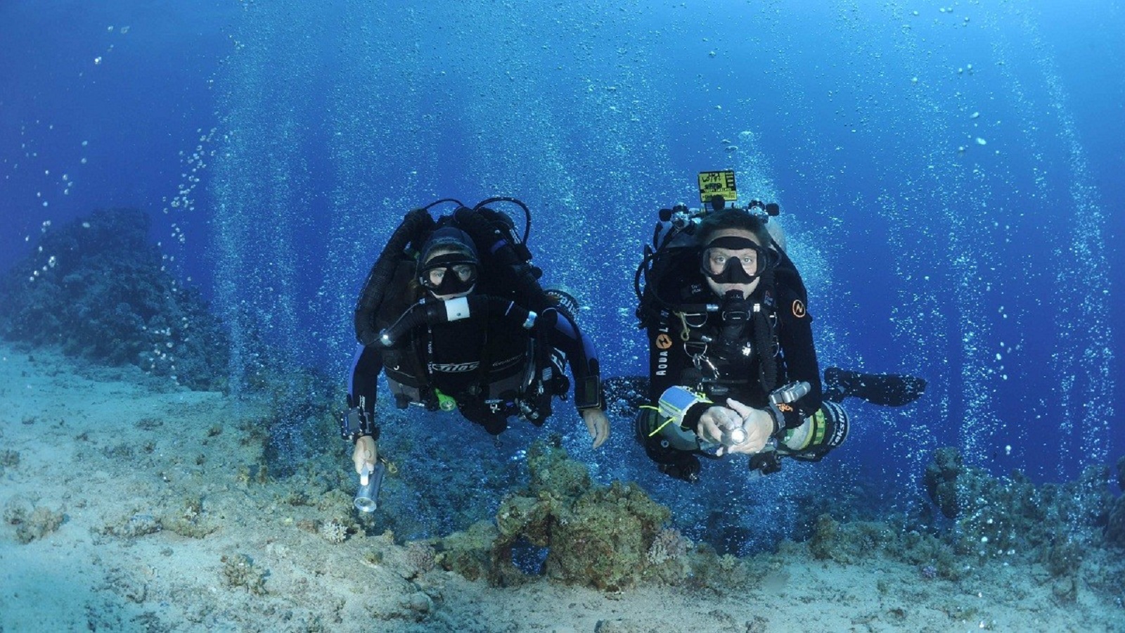 INTRODUCTORY SCUBA DIVING 